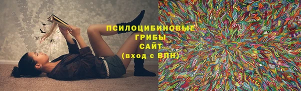 спиды Белокуриха
