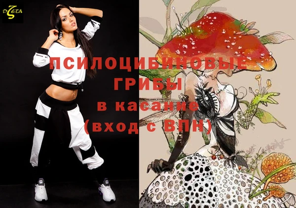 молекула духа Белоозёрский